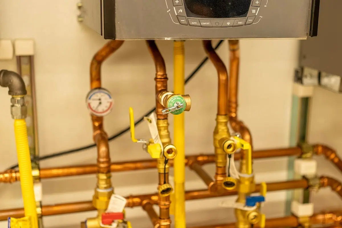 Licensed technician providing Sump Pump Repair for a homeowner in Paloma Creek